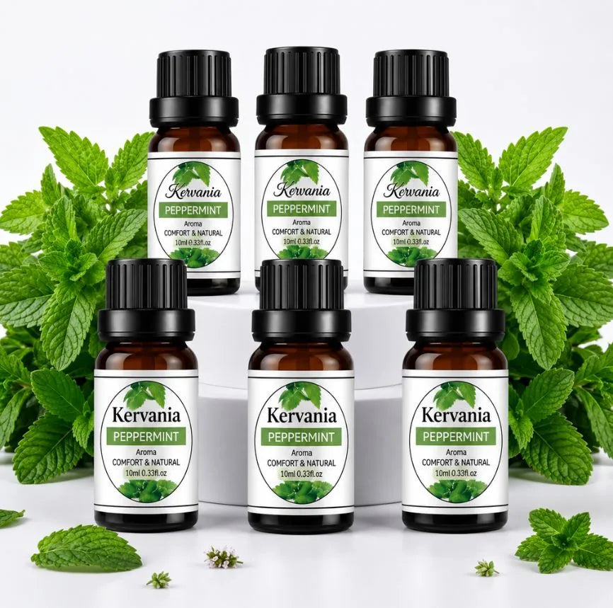 6 Refills – Mint