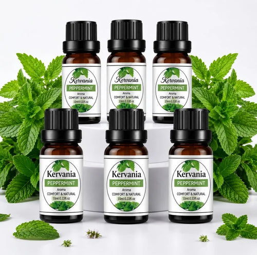 6 Refills – Mint